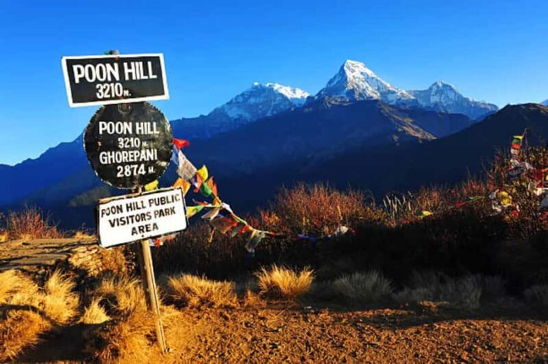 Pokhara: Easy 3-Day Poon Hill Trek - Authentic Experience and Traveler Insights
