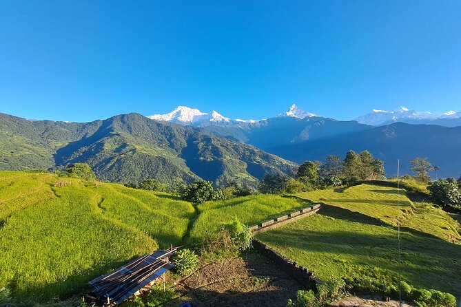 Pokhara: Easy Day Hike to Australian Camp & Dhampus Village - Important Terms and Conditions to Consider