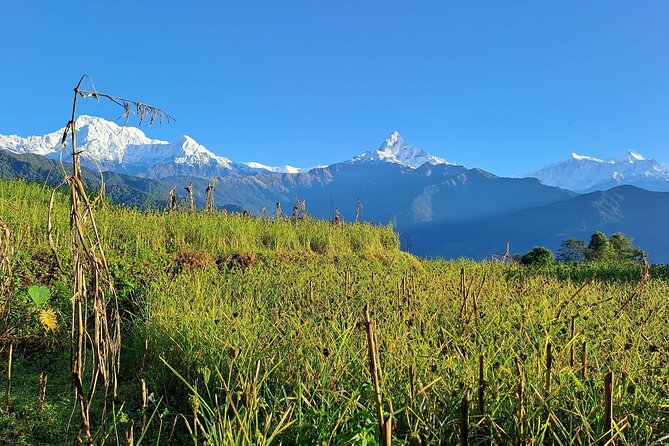 Pokhara: Easy Day Hike to Australian Camp & Dhampus Village - The Sum Up