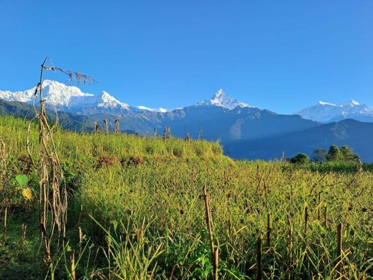 Pokhara : Easy Day Hiking in the Himalayan Foothills - Itinerary Highlights