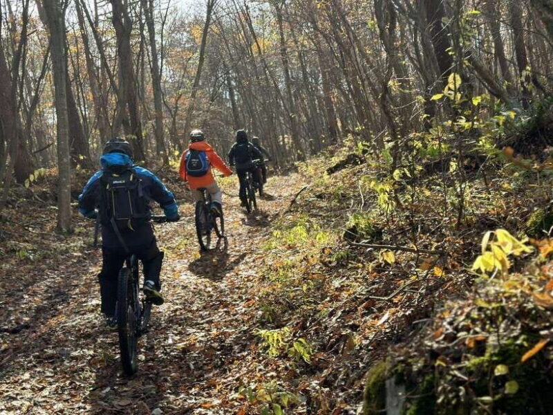 Pokhara: Enduro Mountain Biking Adventure with Lunch - What to Expect from the Pokhara Enduro Mountain Biking Tour