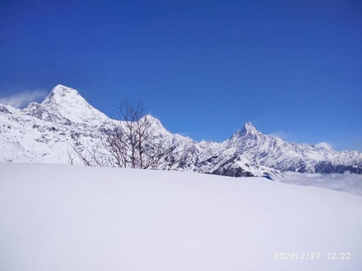Pokhara: Exciting Heli Ride to Annapurna Base Camp - Languages and Group Size