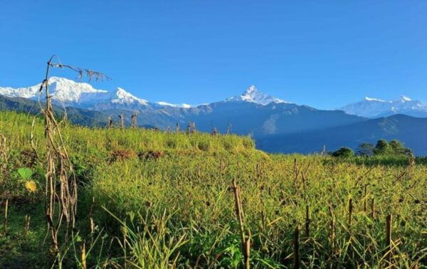 Pokhara : Foksing Guided Day Hike - What to Bring