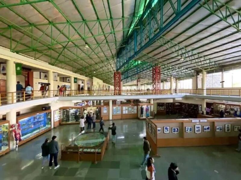 Pokhara: Full-Day Museum Tour with Snacks and Tea - Good To Know  