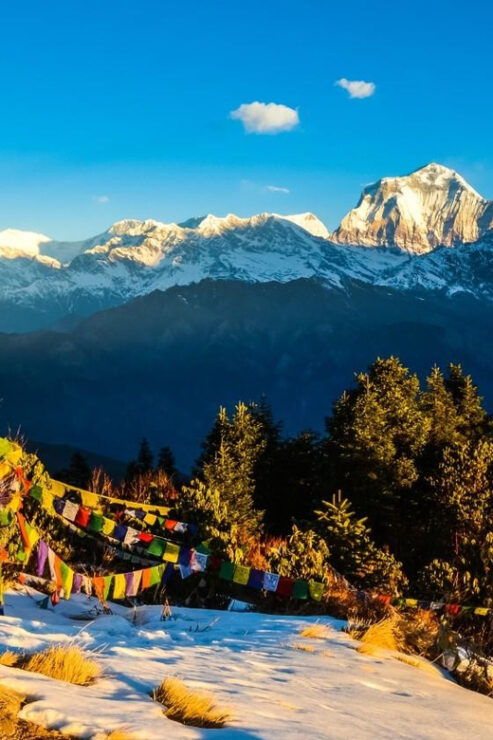 Pokhara: Ghorepani and Poon Hill Trek 3-Day - Trek Experience and Highlights