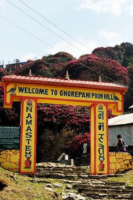 Pokhara: Ghorepani Poon Hill 2 Days Trek - Detailed Itinerary