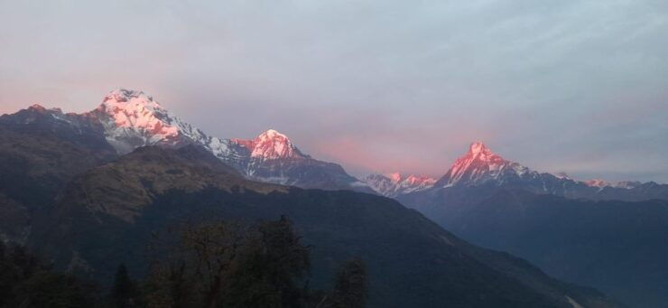 Pokhara: Guided Day Hike From Dampus To Australian Base Camp - Activity Details