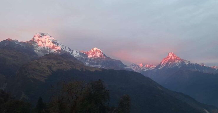 Pokhara: Guided Day Hike From Dampus To Australian Base Camp - Experience Highlights