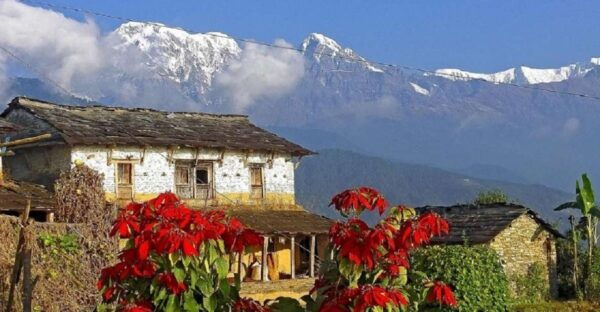 Pokhara: Guided Day Hike From Dampus To Australian Base Camp - Scenic Beauty
