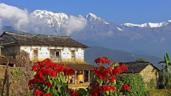 Pokhara: Guided Day Hike From Dampus To Australian Base Camp - The Sum Up