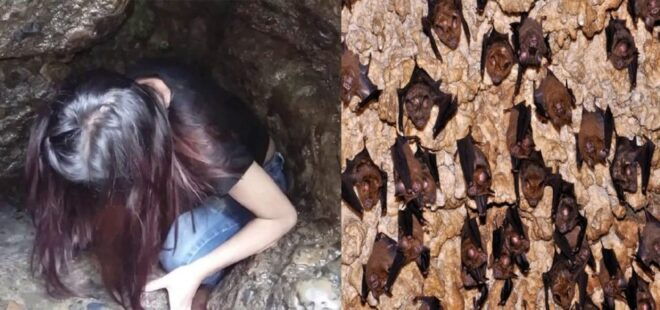 Pokhara: Guided Mahendra, Gupteshwor Mahadev & Bat Cave Tour - Bat Cave