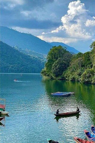 Pokhara: Half-Day Private Sightseeing Tour - Transportation and Guide