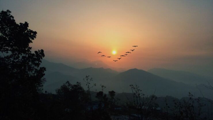Pokhara: Himalayan Bliss - Sarangkot Sunrise Private Tour - Cancellation Policy