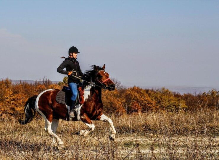 Pokhara: Horseback Adventure - Language of Instruction