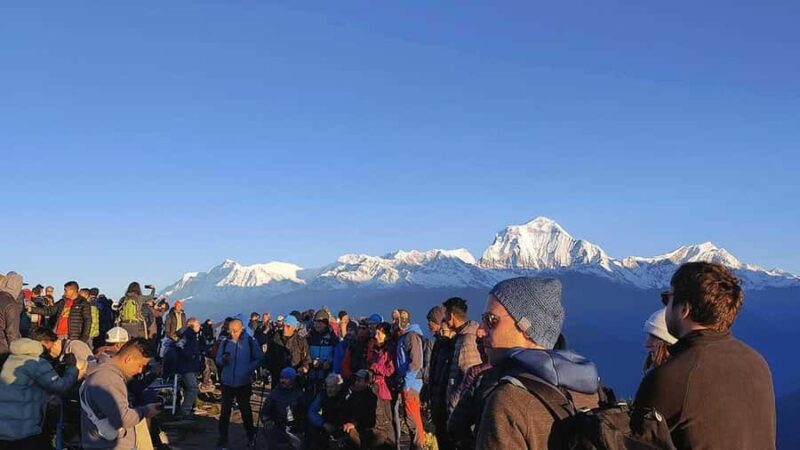 Pokhara: Luxury Ghandruk to Ghorepani Jeep Tour and Hike - The Experience and Value