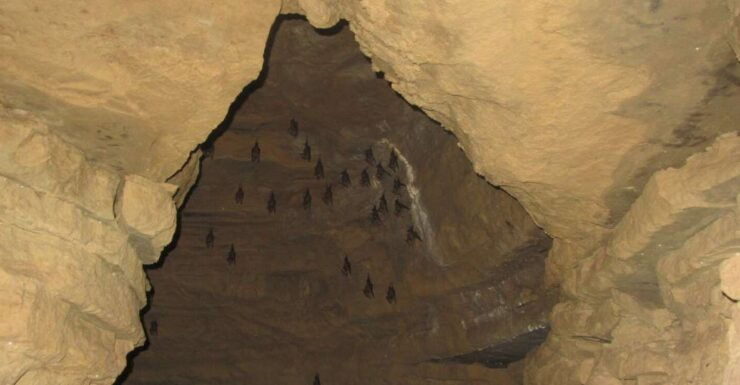 Pokhara: Mahendra, Gupteshwor Mahadev & Bat Cave PrivateTour - Activity Details