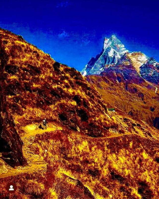 Pokhara: Mardi Himal Trek with 1 Night in a Forest Camp - Good To Know