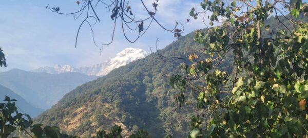 Pokhara- Monastery-Village Day Trip and Hike With Pratigya - Questions You May Have