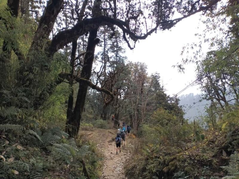 Pokhara: Mulde Hidden Lake, Annapurna Base Camp Adventure - The Experience and Value