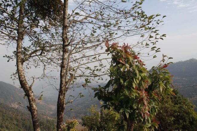 Pokhara: One Night Camping, Campfire Stay at Australian Camp - Campfire Experience
