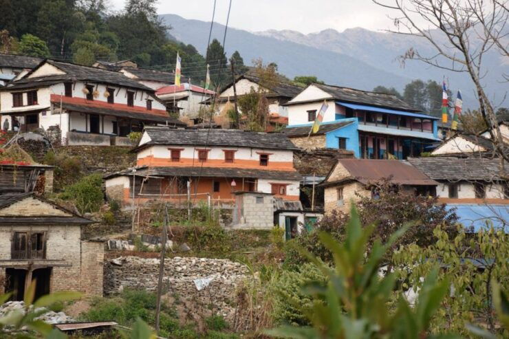 Pokhara: One Night Homestay Tour in Typical Lwang Village - Activity Details & Logistics