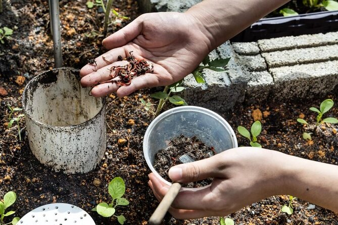 Pokhara: Organic Farm Tour and Cooking Class at Durku - Souvenir Options