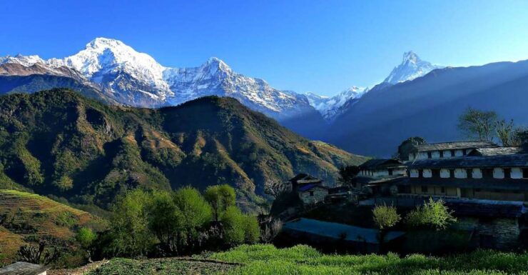 Pokhara: Poon Hill and Annapurna Base Camp Private Trek - Live Tour Guide and Accessibility