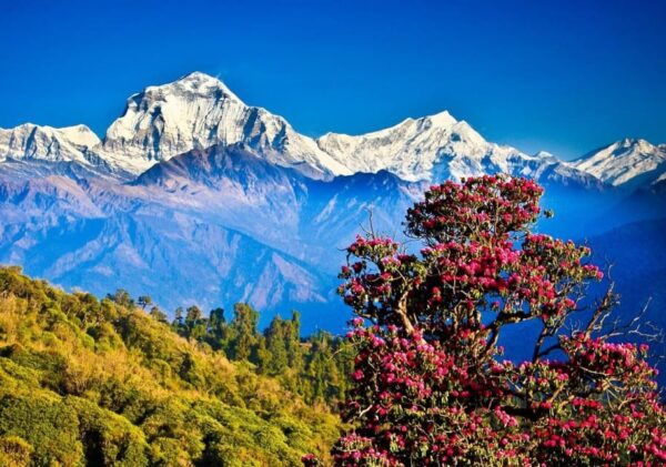 Pokhara: Poon Hill and Ghandruk Guided Trek (4 Days) - Break Down