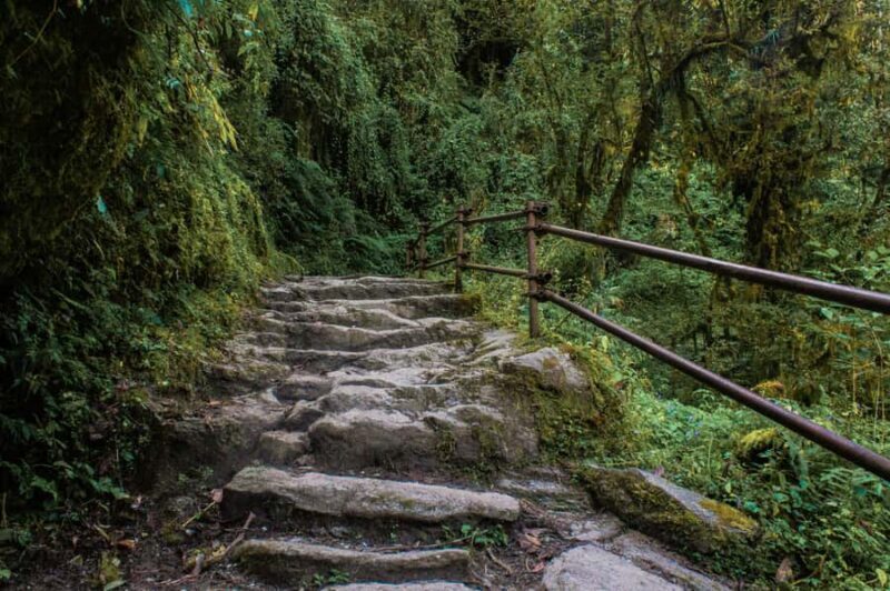 Pokhara: Poon Hill Culture Trek & Village Homestays (4-Day) - Good To Know