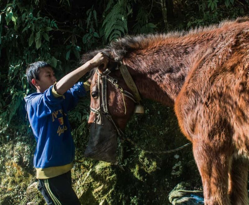 Pokhara: Poon Hill Culture Trek & Village Homestays (4-Day) - Good To Know