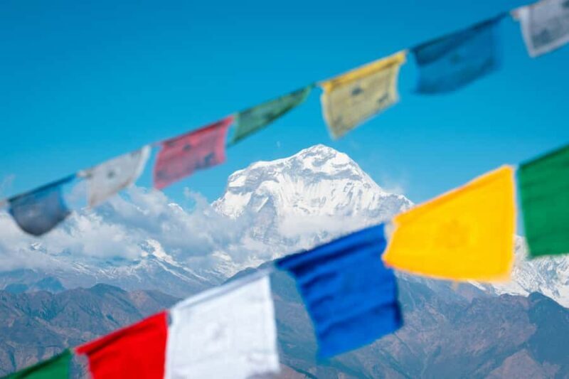 Pokhara: Poon Hill Culture Trek & Village Homestays (4-Day) - The Sum Up