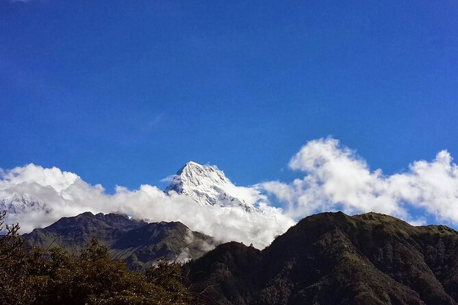 Pokhara: Poon Hill Ghorepani Short Trek - Meeting and Pickup