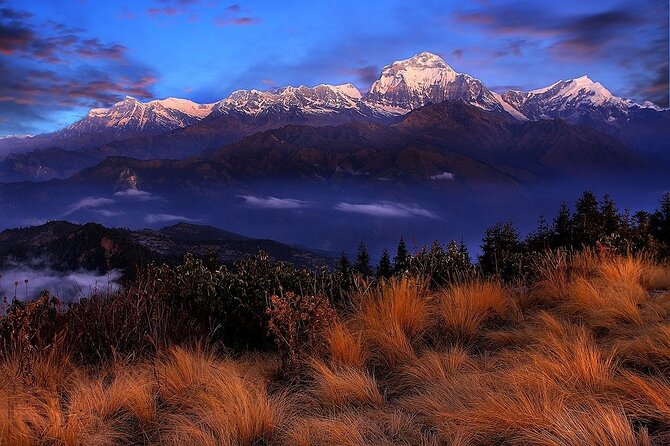 Pokhara: Poon Hill Ghorepani Short Trek - The Sum Up