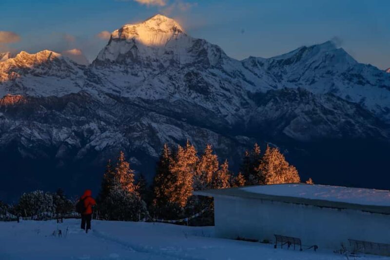 Pokhara: Poonhill Ghandruk Helicopter Tour - The Experience: What to Expect