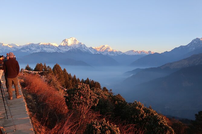 Pokhara Private 9 Day Trek Tour to Poon Hill Annapurna Base Camp - Meals and Gratitude
