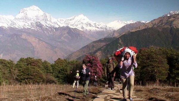 Pokhara: Private Pool Hill Trek With Accommodation and Meals - Common Questions