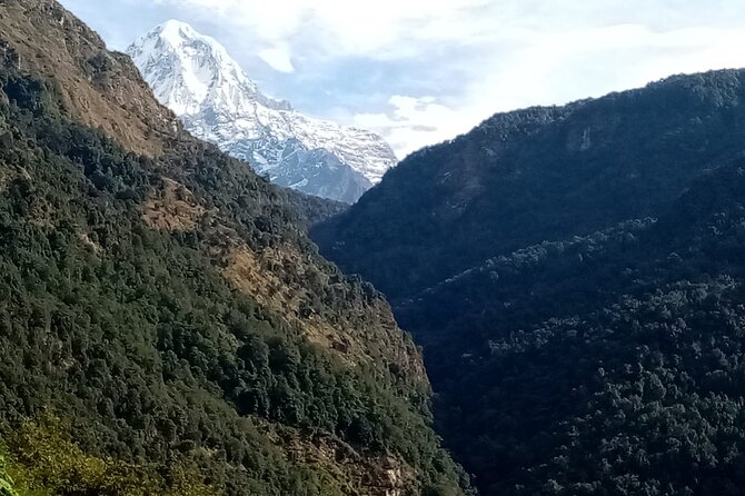 Pokhara Private Tour: 10 Days ABC Trek With Poon Hill - Meeting and Pickup