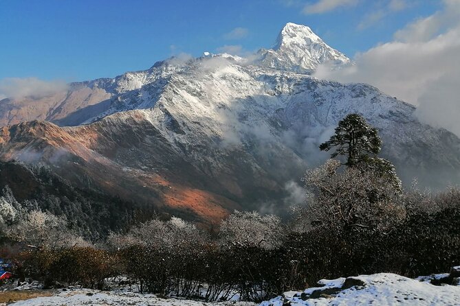 Pokhara Private Tour 2 Day Poon Hill Short Trek - Tour Overview