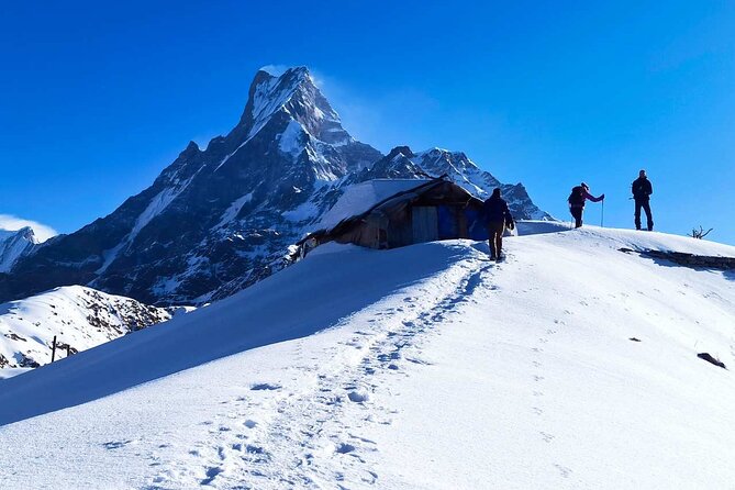 Pokhara Private Tour 4 Day Mardi Himal Base Camp Trek - Day 2 - Forest Camp to High Camp