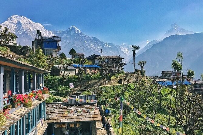 Pokhara Private Tour 4 Day Mardi Himal Base Camp Trek - The Sum Up