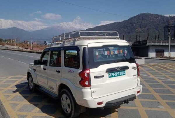 Pokhara : Pumdikot Mahadev Statue Car Tour - Tour Itinerary and Logistics