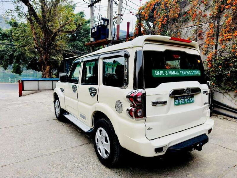 "Pokhara Pumdikot Tour: Eagle Eye Views of Stunning Pokhara" - What Makes This Tour Special