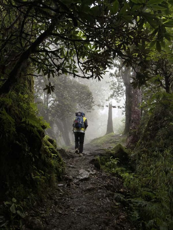 Pokhara: Queen Forest Hike to Santi Stupa & Lake Boating - Exploring the Full Experience of the Queen Forest Hike