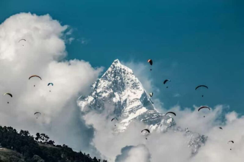 Pokhara: Queen Forest Hike to Santi Stupa & Lake Boating - Authentic Insights from Reviews