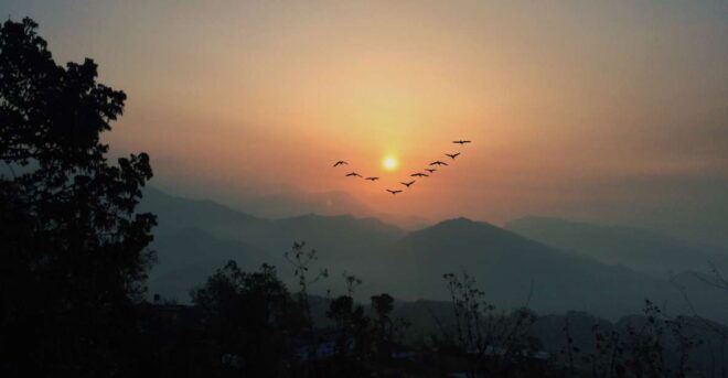 Pokhara: Sarangkot Sunrise Tour - Tour Details
