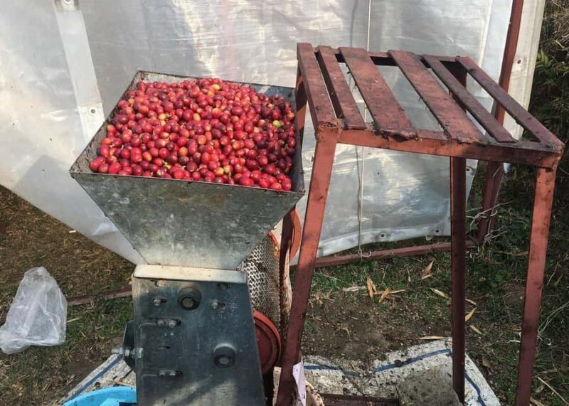 Pokhara: Sarangkot Village Coffee Culture & Local Life Hike - The Sum Up