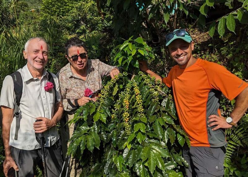 Pokhara: Sarangkot Village Coffee Culture & Local Life Hike - Who Will Love This Tour?