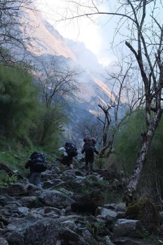 Pokhara: Small Group 7-days Annapurna Base Camp Trekking - Practical Aspects and Value  