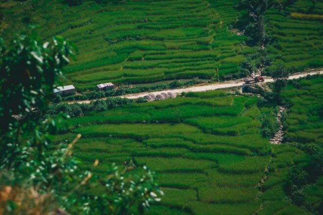 Pokhara: Suspension Bridge Private Tour- 30 Min Village Walk - Reviews and Ratings
