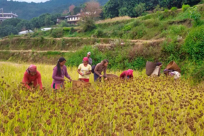 Pokhara Tour From Kathmandu and Short Annapurna Trek - Day 1: Drive Kathmandu to Pokhara